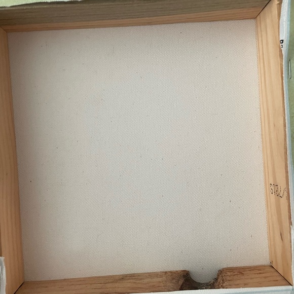 Dog chocolate lab! 💙 - Picture 2 of 2